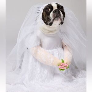 Dog Bride White Wedding Gown Cute‎ Fancy Dress Up Halloween Pet Dog Costume Sz L